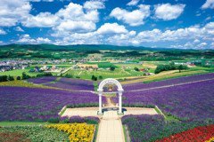 Furano lavender fields 3000 pieces (21-509) - smaller pieces