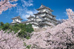 Himeji Castle 2016 pieces (23-549) - smaller pieces