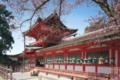 Kasuga Grand Shrine, Nara 2016 pieces (23-047) - smaller pieces
