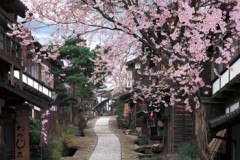 Magome post town in spring 2016 pieces (23-564) - smaller pieces