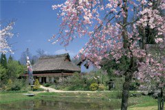 Thatched cottage (Hiroshima) (Morita) 1500 pieces (15-111) - smaller pieces
